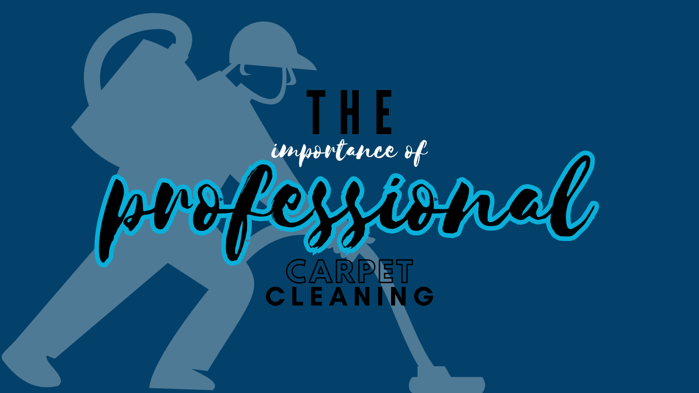 How Do Professionals Clean Carpets at Home